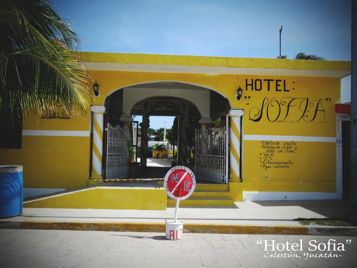 Hotel Sofia Celestun Exterior photo